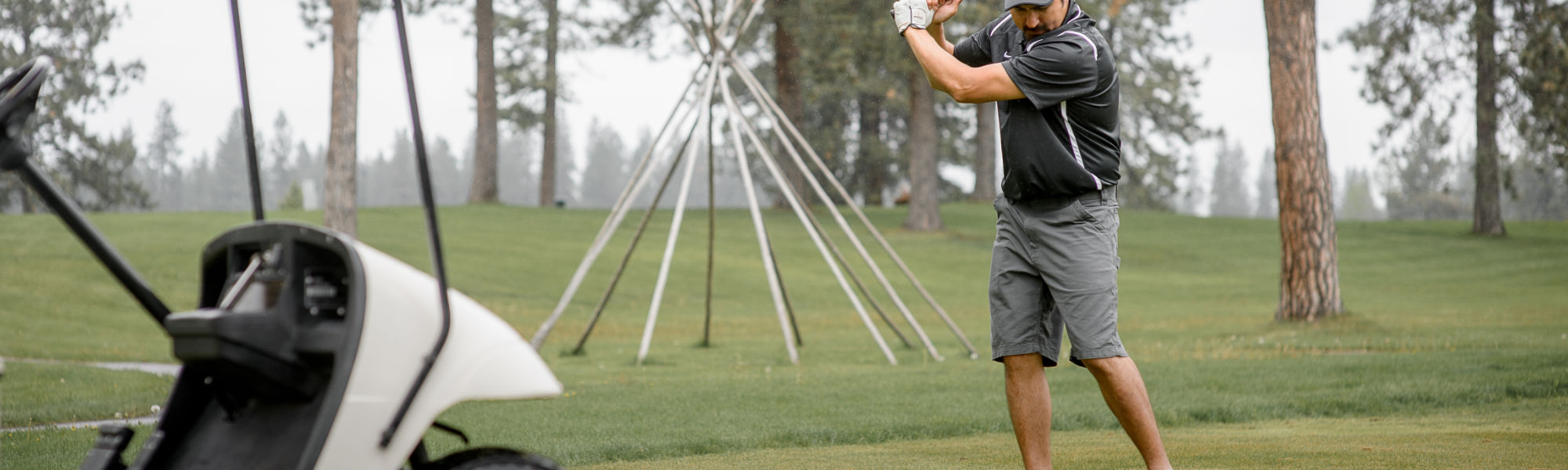 Silver-Fox-Header-1 Silver-Fox-Header-1