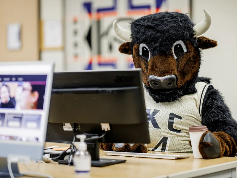 Stewie-EMSA-Gallery-1