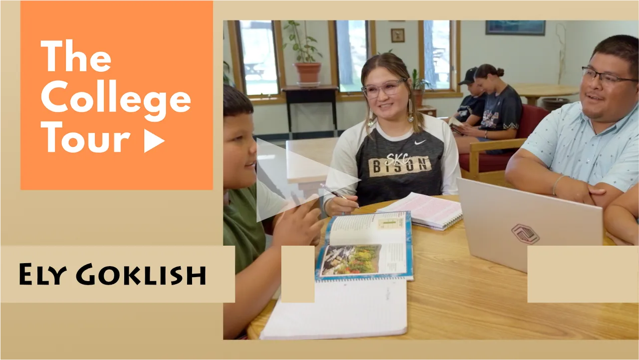 Ely Goklish - Academic Resources