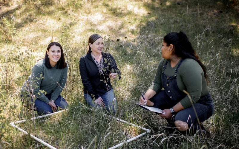 SOC-Gallery-NatReo-021226-1